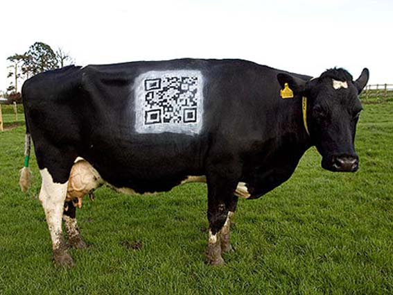 O SLG pide á Seguridade Social que dea marcha atrás na obriga de telematizar todas as xestións para @s autónom@s