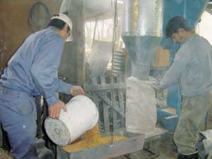 3. Enfermidades profesionais no sector agropecuario: Doenzas respiratorias.