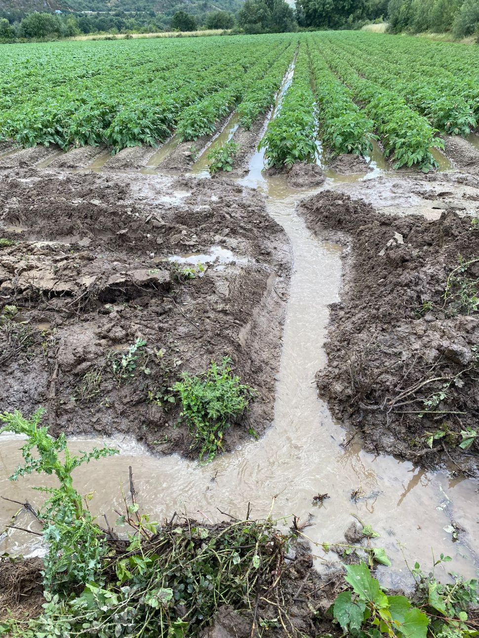 Demandamos unha valoración dos danos provocados polas treboadas e a apertura de liñas de axuda directa