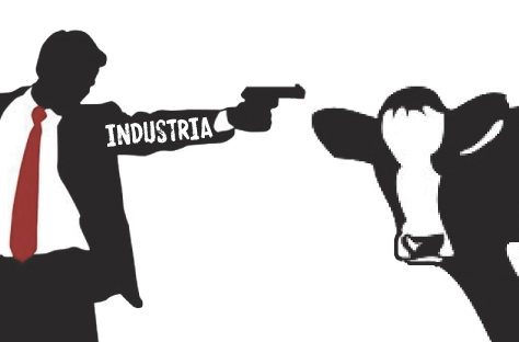 Os abusos comerciais da industria ameazan con rebentar o proceso de construción de prezos xustos para o leite