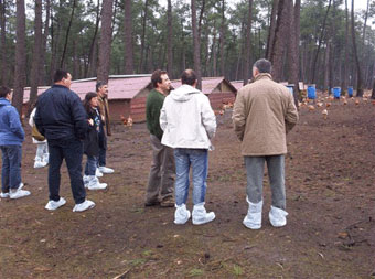 A afiliación do SLG viaxa a Francia para coñecer a avicultura extensiva