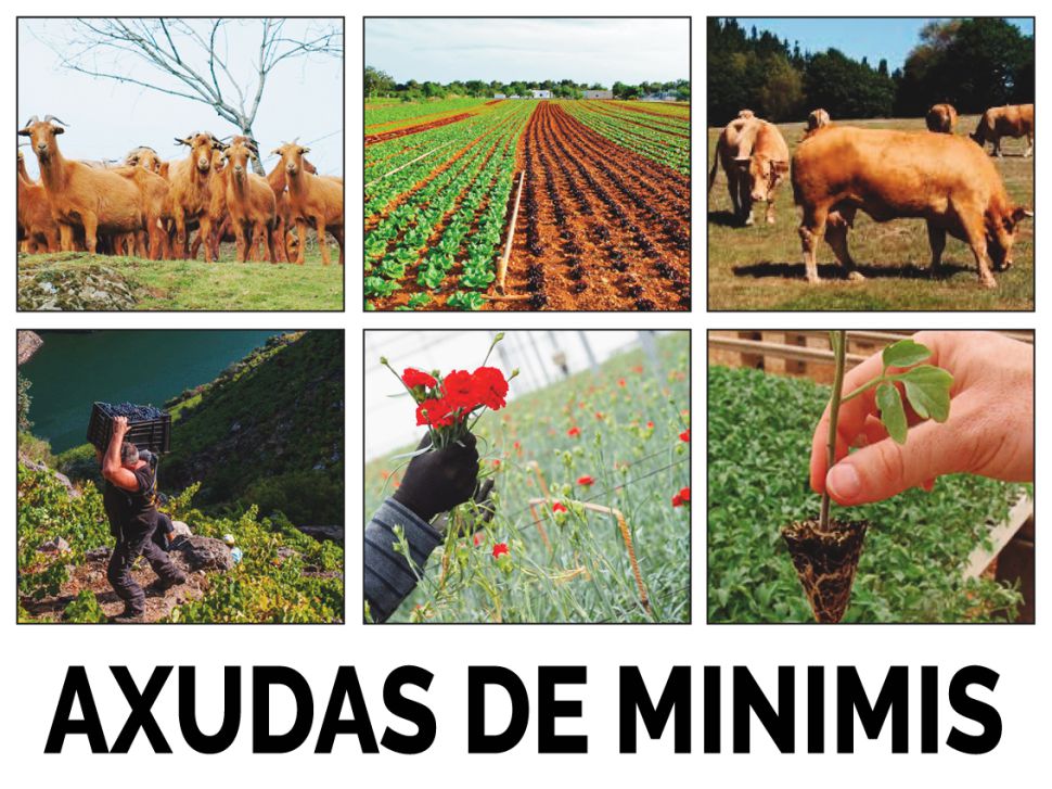 O SLG pide a Medio Rural axudas para apoiar as granxas galegas desasistidas polo Estado na crise do Covid