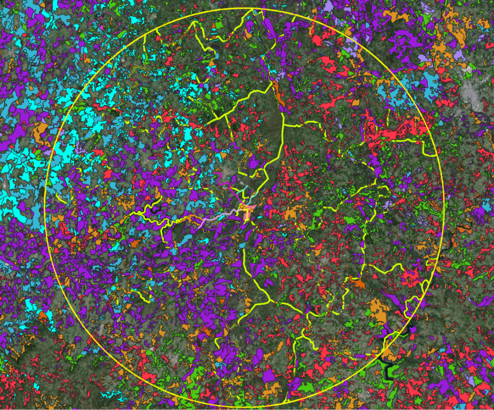O SLG-CCLL solicita a inclusión da macrocelulosa Altri-Greenalia na orde do día do Consello Forestal