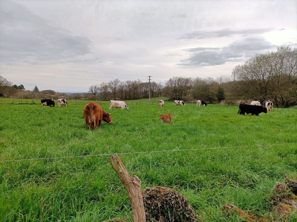 Ameazas de baixada, incumprimento da Lei da Cadea e a Consellaría do Medio Rural desaparecida