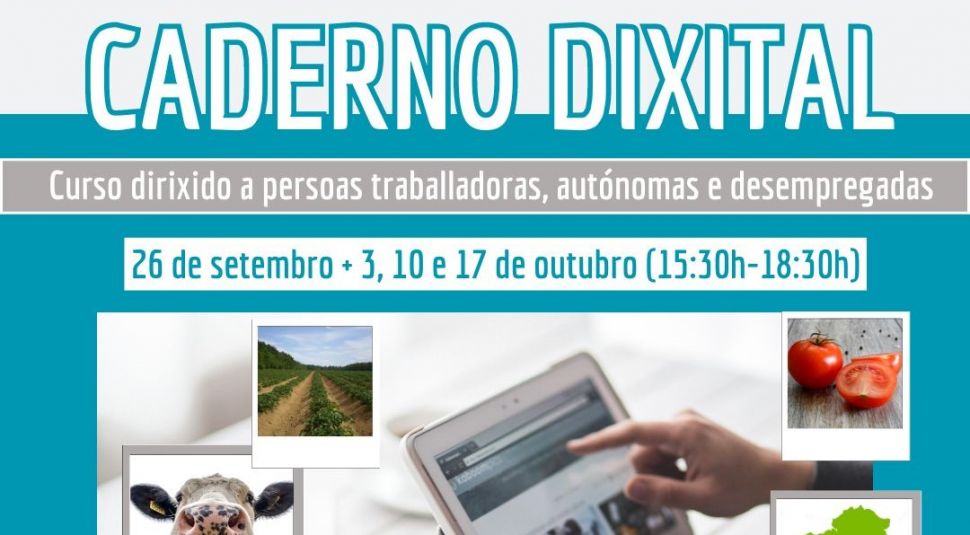 Curso de caderno dixital en Curtis 🗓
