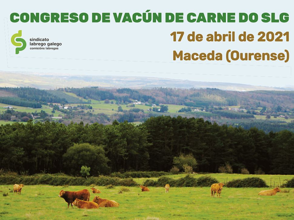 O SLG inicia no Día das Loitas Labregas o camiño cara ao seu X Congreso co sectorial de vacún de carne