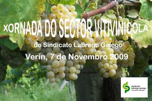 Agricultura, medioambiente e mundo rural. Función medioambiental dos viñedos.