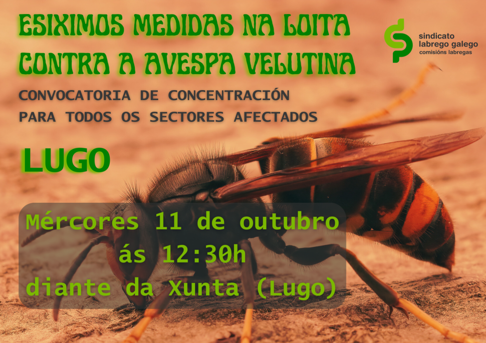 Concentración en LUGO para reclamar un plan de choque contra a Velutina