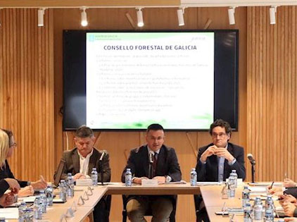 As organizacións sociais do Consello Forestal de Galicia dan plantón á xuntanza sobre o Pladiga 2020 como protesta