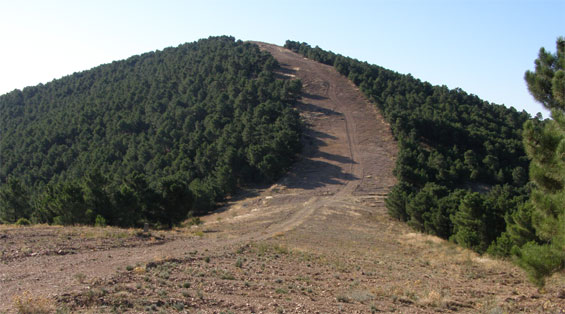 A Consellaría de Medio Rural non realizou aínda os traballos de prevención de lumes orzados para 2017