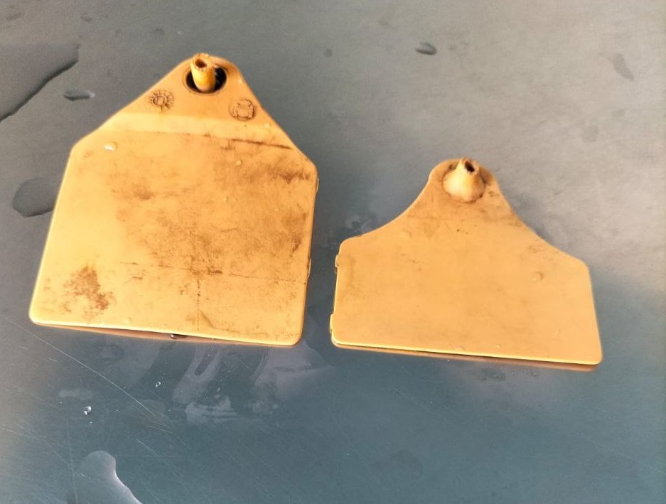 As granxas denuncian unha sensíbel merma na calidade dos crotais subministrados polas OAC da CMR