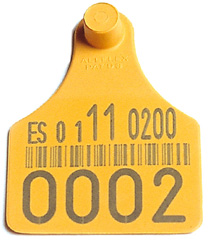 Novo ataque aos servizos públicos ás explotacións:  o servizo de identificación de animais  da CMR non está operativo