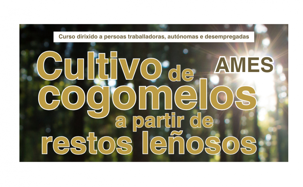 Cultivo de cogomelos a partir de restos leñosos (curso en Ames) 🗓