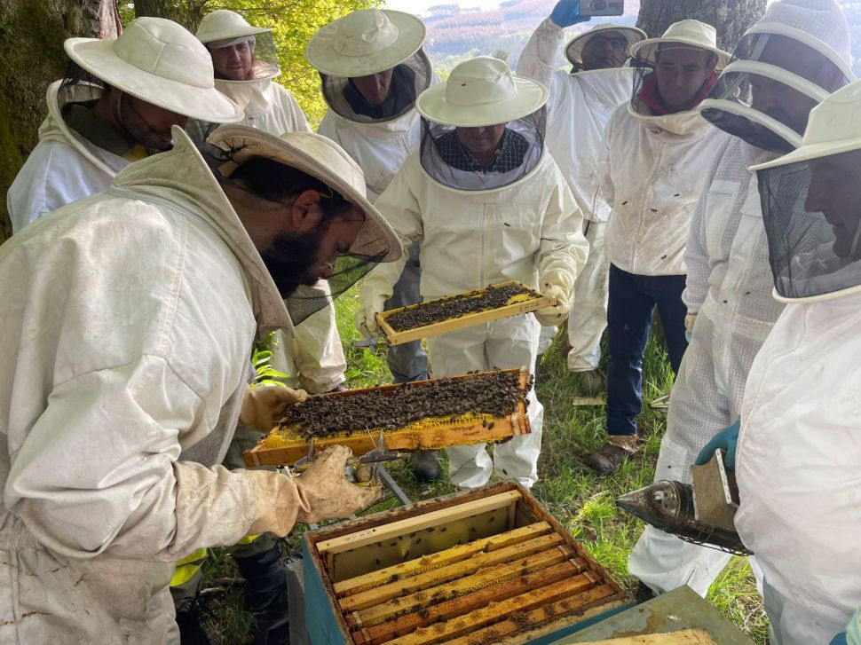 Solicitamos a corrección do RD4/2023 eliminando o límite mínimo de colmeas e a condición de trashumante