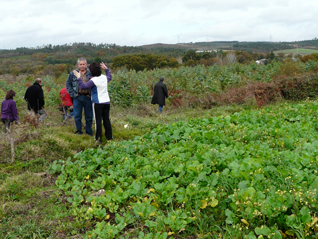 O SLG denuncia en Vilalba unha trama política  e lexislativa para invadir as terras de cultivo de Galiza con plantacións forestais