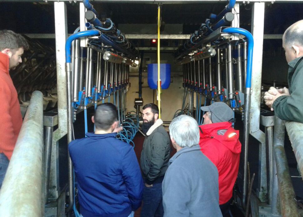 Xornadas sobre pastoreo no sector lácteo: O futuro do sector lácteo galego será con pastoreo ou non será