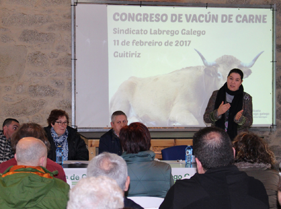 O SLG crea un grupo de traballo para enfrontar as principais problemáticas do sector da carne de vacún