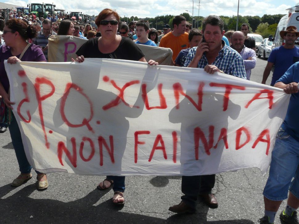 O SLG estuda denunciar diante da CNMC os prezos do leite artificialmente baixos e estancados na Galiza