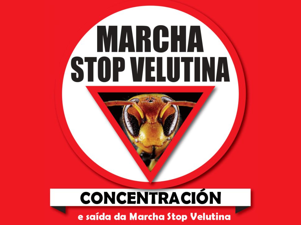 Arrinca a Marcha Stop Velutina con unha concentración reivindicativa diante da Consellaría de Medio Rural