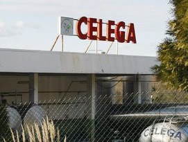 Celega anuncia baixadas no prezo do leite e rescisións de contratos pese a ingresar 354.000 € en subvencións