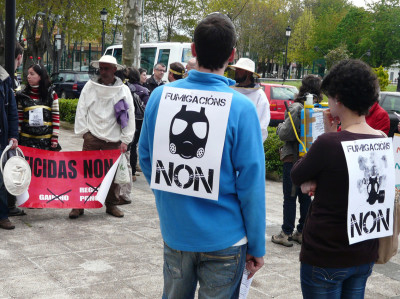 O SLG congratúlase da prohibición de neonicotinoides na UE pero advirte que aínda hai tóxicos letais para as abellas