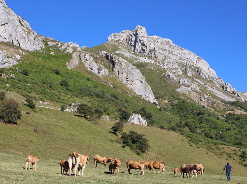 Frouma publica o estudo “Territorios en común: Casas con fume, montes sen lume”, sobre o monte veciñal na Galiza