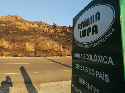 O SLG esixe á Xunta que garanta a continuidade das explotacións agrarias afectadas polos incendios forestais