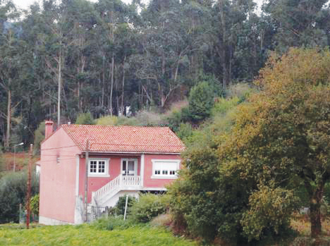 O 31 de maio remata o prazo para realizar os traballos nas faixas de protección contra os lumes