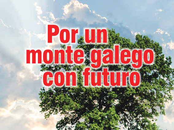 A plataforma “Por un monte galego con futuro” convoca unha manifestación nacional o 20 de outubro en Compostela