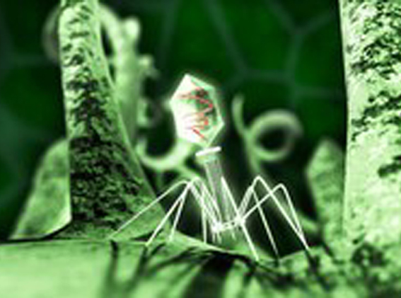 Impulsores xenéticos: Os organismos xeneticamente modificados que poden rematar coa biodiversidade na Terra