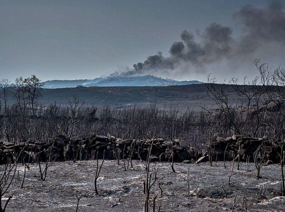 Amigos da Terra e SLG piden a convocatoria urxente do Consello Forestal de Galicia para abordar a crise dos lumes