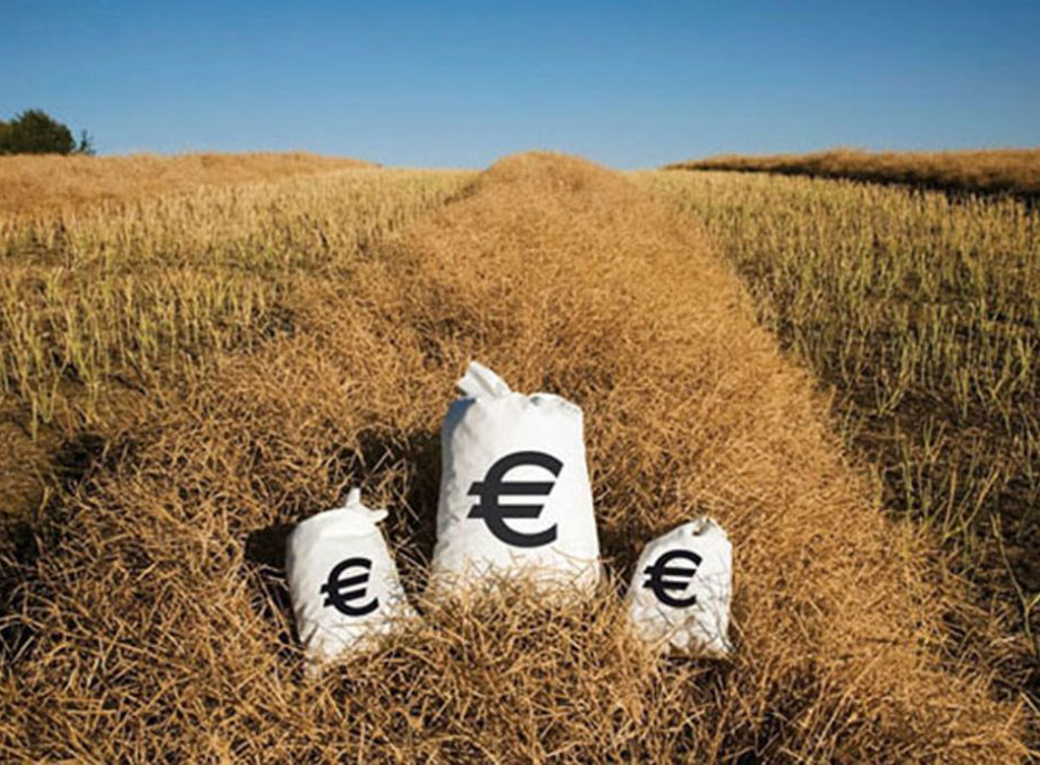 Carta aberta da ECVC a representantes da Galiza no Parlamento Europeo sobre a Política Agraria Común (PAC)