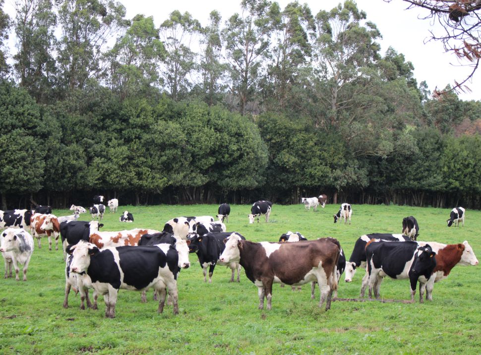 Os papeis da PAC (3). A proposta do SLG: Unha PAC ao servizo das persoas e do territorio