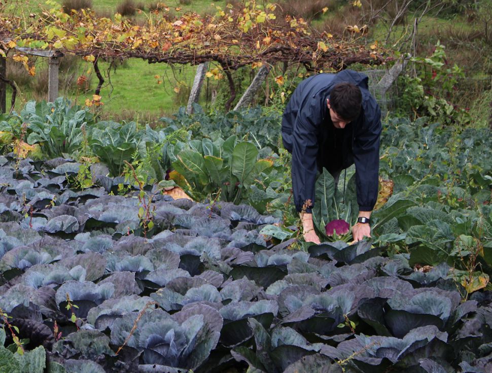 Os papeis da PAC (e 4): Os puntos quentes do debate estatal, a finais de 2020, para o Plan Estratéxico
