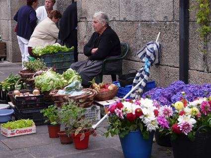 O SLG analizará con labregos e labregas o novo decreto que regula a venda directa de alimentos na Galiza