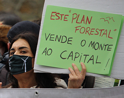 Convocadas 22 accións en demanda da paralización do Plan Forestal e “Por un Monte Galego con Futuro”