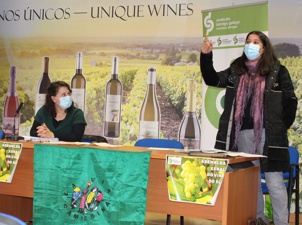 Viticultores e viticultoras das cinco denominacións de orixe forman un grupo de traballo para dinamizar o sector no SLG