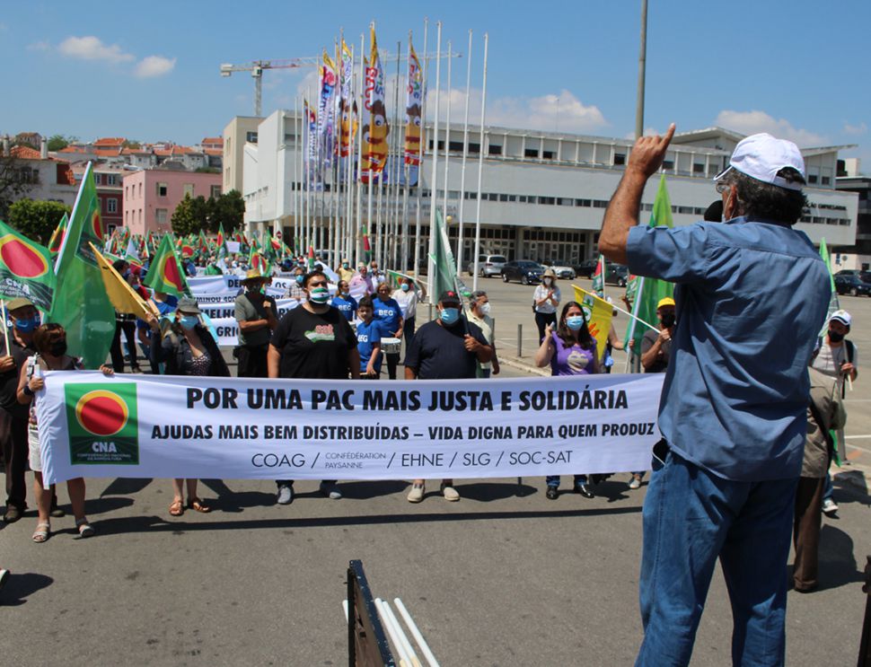Cambiar todo para non cambiar nada: Unha ‘nova’ PAC para os grandes terratenentes e perceptores