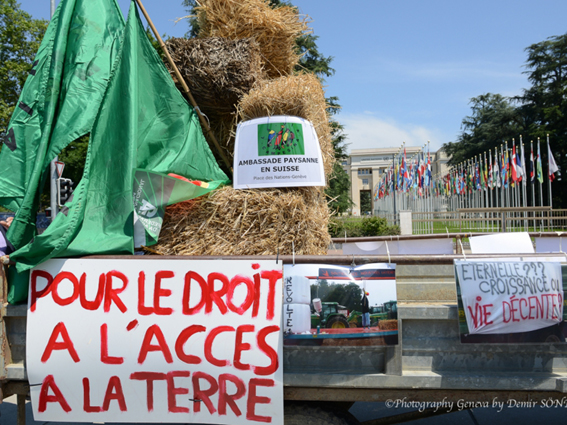 Isabel Vilalba nunha nova xuntanza do grupo de traballo da ECVC sobre a Carta de Dereitos Labregos da ONU