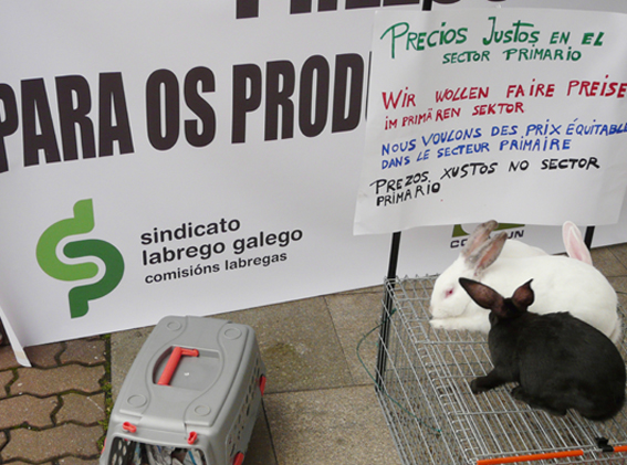O SLG propón a Medio Rural medidas contra a crise do coello e participará nas protestas do sector mañá en Madrid