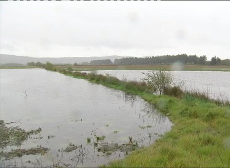 O SLG pide a Medio Rural a declaración da Limia como zona de emerxencia polos asolagamentos de primavera