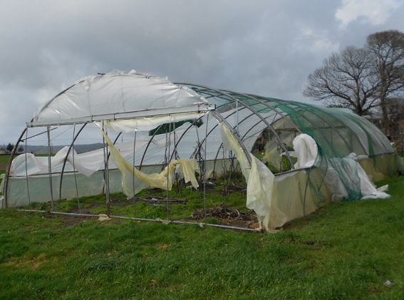 A Consellaría de Medio Rural abandona á súa sorte ás explotacións damnificadas polos temporais
