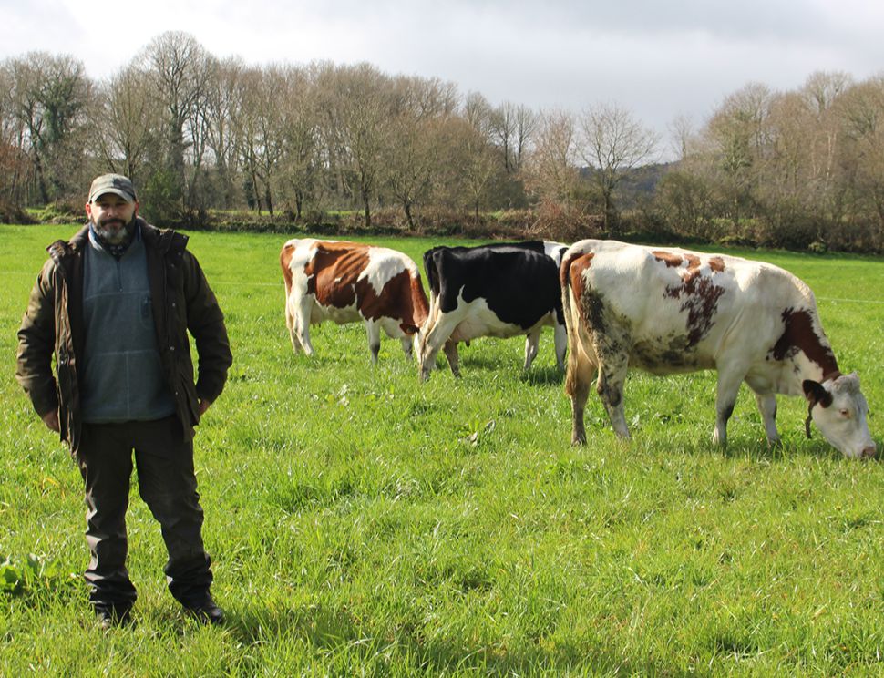 Unha granxa de Chantada volve denunciar as ameazas e ataques dunha manda de cans instigada por un veciño