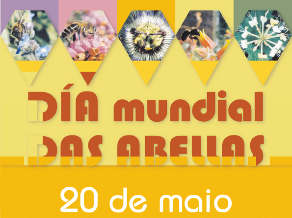 Nace a Plataforma Stop Velutina para forzar o compromiso da Xunta e do Goberno na loita contra esta avespa asiática