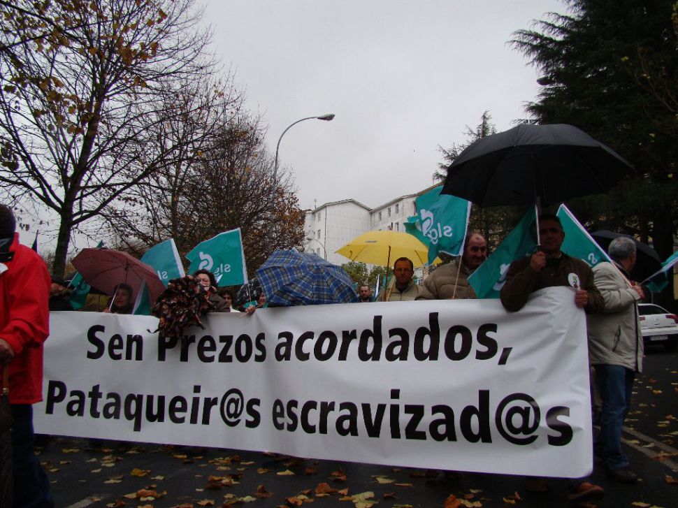 Mercados transparentes da pataca en OURENSE e VIGO