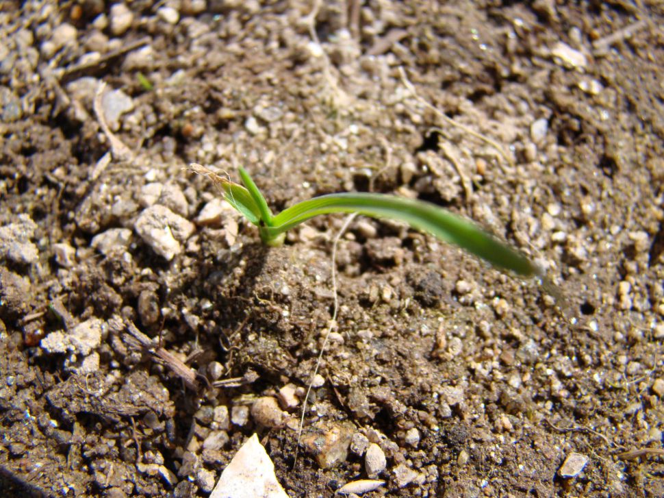 O SLG pídelle á CMR medidas concretas para a seca e a suba de custos de produción