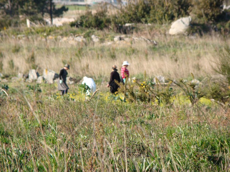 Na Galiza e en Bruxelas, o SLG e a CEVC defendemos unha reforma da PAC que supoña garantía de rendas e alimentación