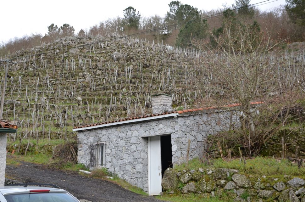 Solicitamos á CMR a convocatoria urxente dunha mesa de traballo para abordar a crise da Ribeira Sacra