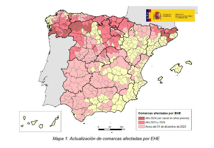 Alertamos de significativas eivas na convocatoria de axudas para a EHE aprobadas onte polo Consello