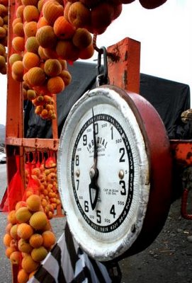 RdP n´A Terra Chá: Mobilizacións pola modificación das políticas agrarias os vindeiros 20 e 21 de novembro